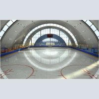 Maintenance of ice rinks, stadiums and arenas.