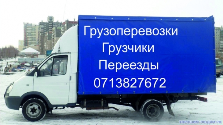 Transfers by the DNI, to(from) Russia and Ukraine. Movers services