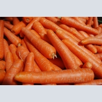 les carottes en gros