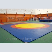 Sport-Teppich für Kampfsport