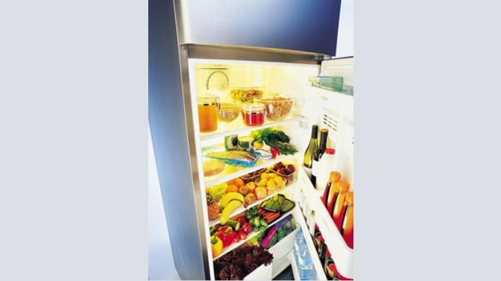 Repair of household refrigerators